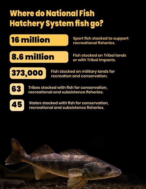 Meet Your National Fish Hatchery System.